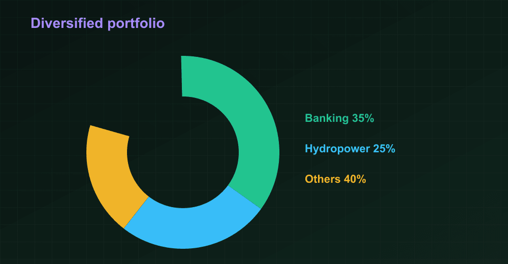 Diversified dividend portfolio pie chart